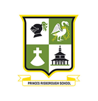 Princes Aisborough School Logo